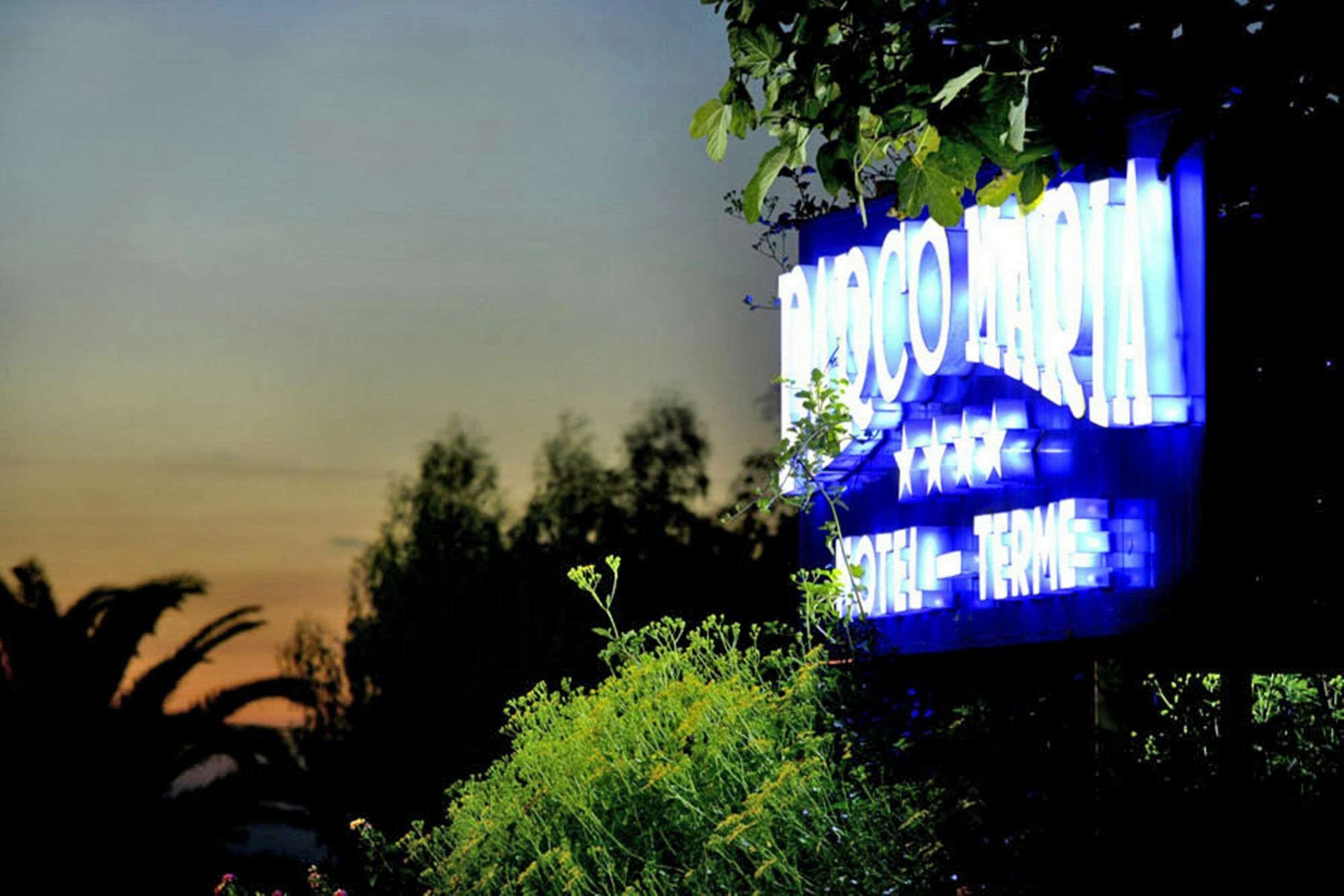 Hotel Parco Maria Terme Forio di Ischia Εξωτερικό φωτογραφία