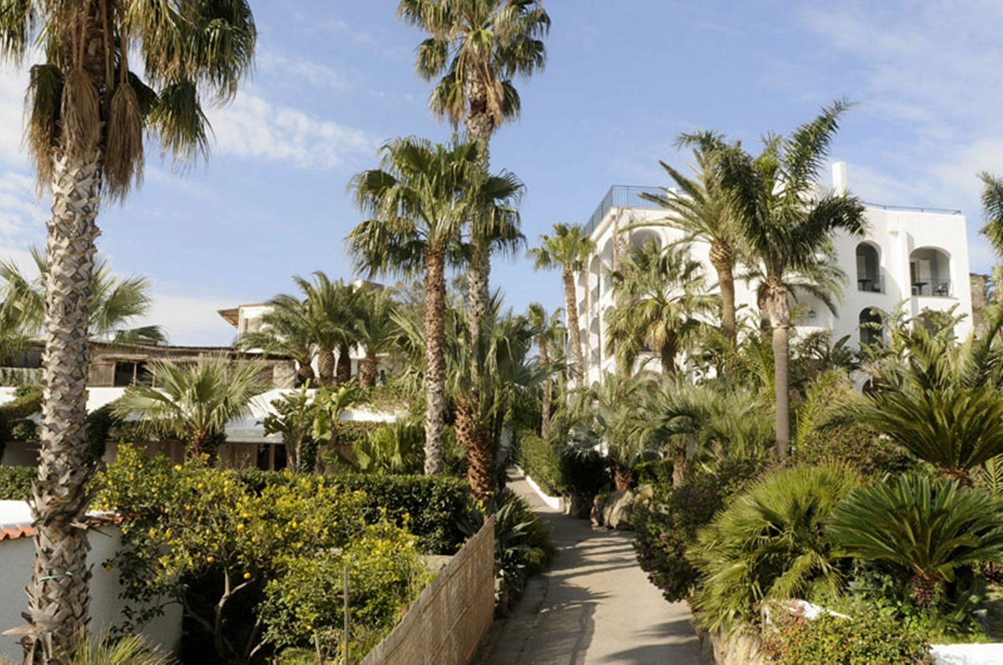 Hotel Parco Maria Terme Forio di Ischia Εξωτερικό φωτογραφία