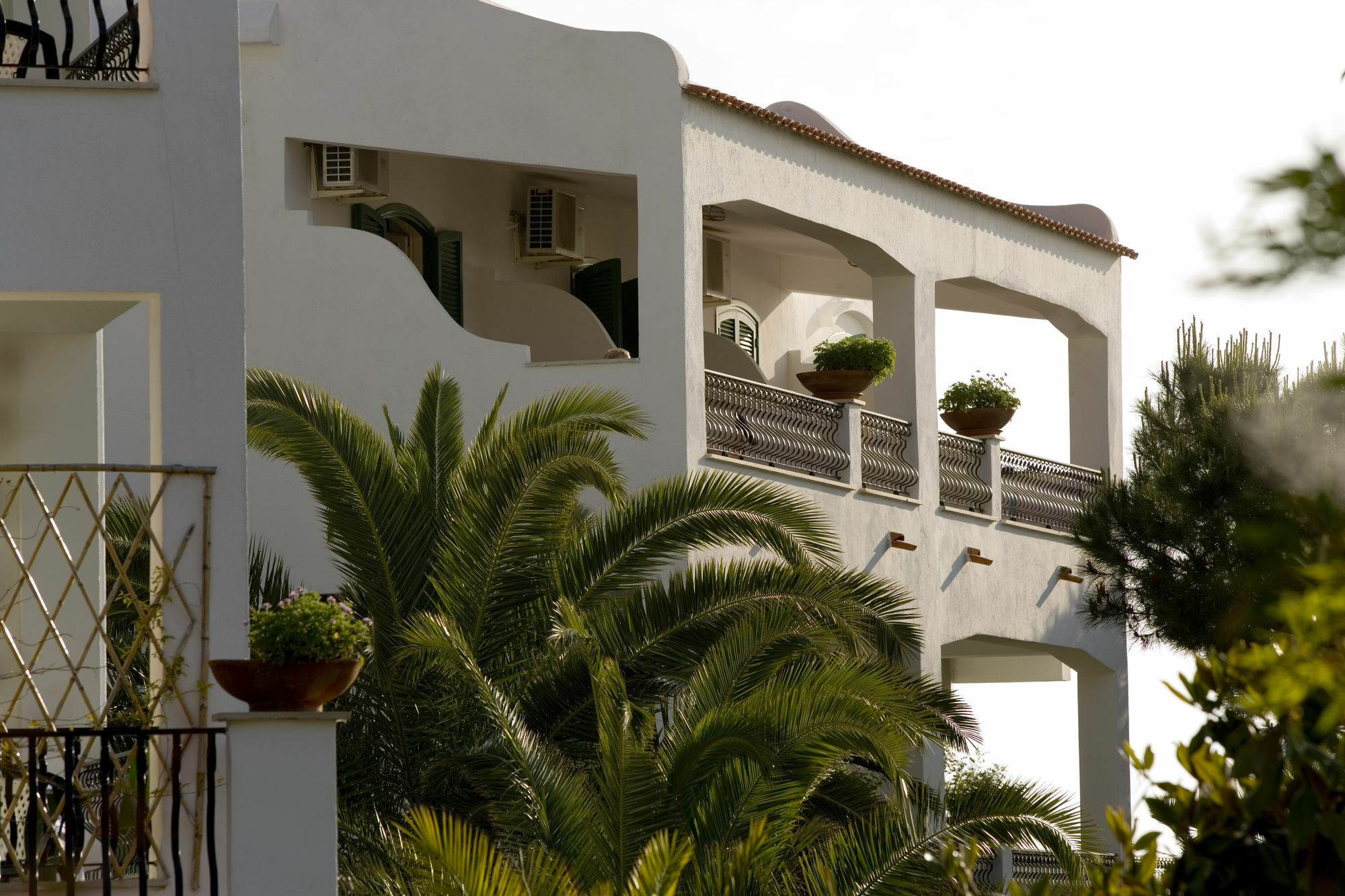 Hotel Parco Maria Terme Forio di Ischia Εξωτερικό φωτογραφία